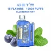 IGET FLARE 10K PUFFS Iget Flare B10000 Puffs