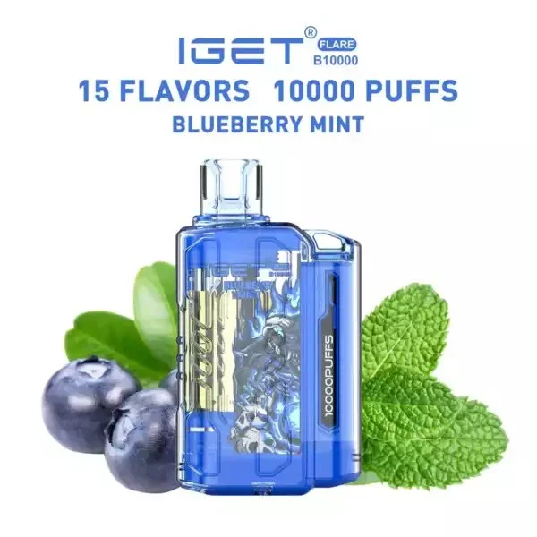 IGET FLARE 10K PUFFS Iget Flare B10000 Puffs